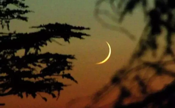 সৌদিতে চাঁদ দেখা গেছে, ঈদুল আজহা ৬ জুন