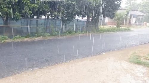 তানোরে কথা রেখেছে আষাড়, প্রথম দিনেই স্বস্তির বৃষ্টি