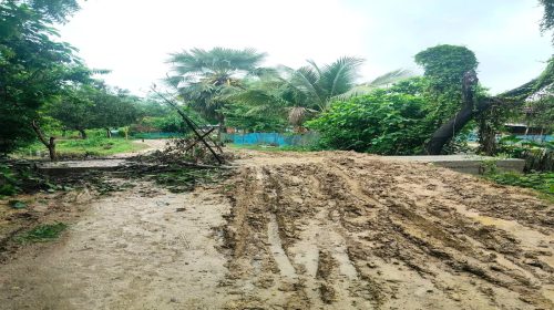 তানোরে বর্ষার শুরুতেই মাটির রাস্তা গুলোর বেহালদশাায় চরম দূর্ভোগে গ্রামের মানুষ