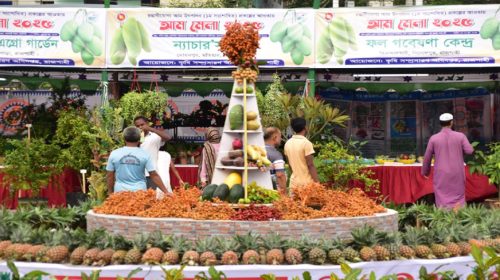রাজশাহীতে তিন দিনব্যাপী আম মেলায় ১৫০ রকমের ফলের পসরা