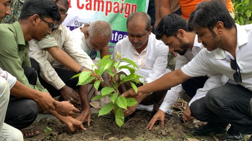 পরিবেশের ভারসাম্য রক্ষায় রাজশাহীতে বৃক্ষরোপণ কর্মসূচি