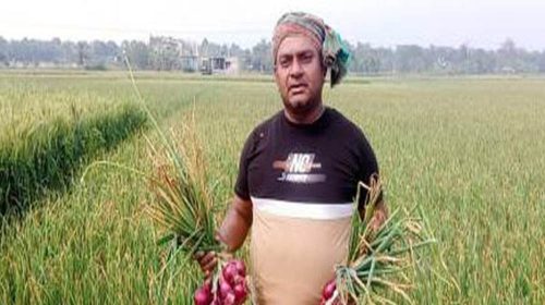 বেশির ভাগ ফসলের আবাদ লক্ষ্যমাত্রা ছাড়িয়েছে চাঁপাইনবাবগঞ্জে