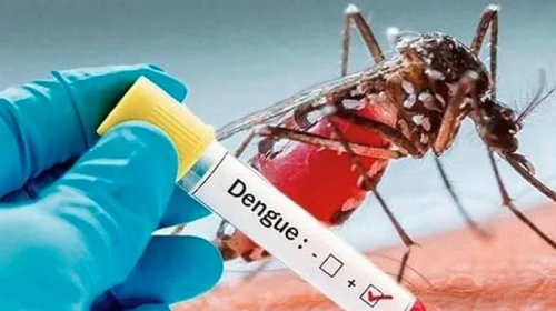 ডেঙ্গুতে একদিনে সর্বোচ্চ ৫ জনের মৃত্যু