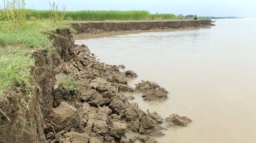 শিবগঞ্জে পদ্মা নদীর ভাঙনে বিলীন ৭০টি বাড়ি