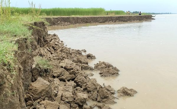 শিবগঞ্জে পদ্মা নদীর ভাঙনে বিলীন ৭০টি বাড়ি