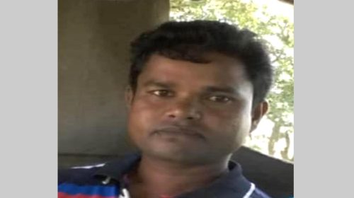 তানোরে রাসেল ভাইপার সাপের কামড়ে কৃষকের মৃত্যু