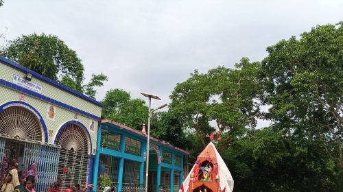 নিয়ামতপুরে উল্টো রথে শেষ হলো রথযাত্রা উৎসব