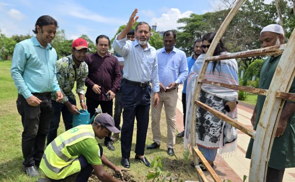 রাজশাহী কেন্দ্রীয় উদ্যানে রাসিক প্রশাসকের বৃক্ষরোপণ