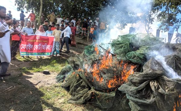 বড়াইগ্রামে ৬ লক্ষ টাকার চায়না জাল ধ্বংস