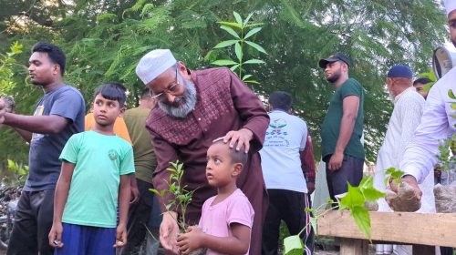 নগরী জামায়াতের উদ্যেগে জনসাধারণের মাঝে গাছের চারা বিতরণ