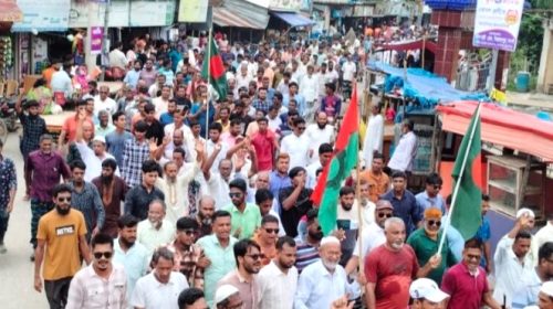 নিয়ামতপুরে শোক ও বিজয়ের বর্ষপূর্তী উপলক্ষে বিএনপির গণমিছিল ও সমাবেশ