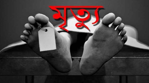 রাজশাহীর পুঠিয়ায় ডাব গাছ থেকে পড়ে যুবকের মৃত্যু