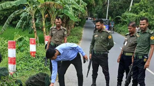 পুঠিয়ায় মোবাইল কোর্টের মাধ্যমে অবৈধ জাল জব্দ ও ধ্বংস