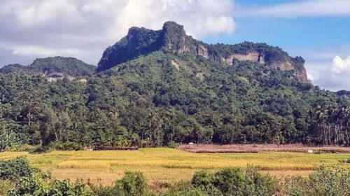 পাহাড়ে জিম্মি করে রাখা ৪৪ জনকে উদ্ধার