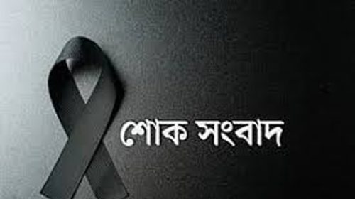 ফরিদপুর জেলা বিএনপির সদস্য সচিবের স্ত্রীর মৃত্যুতে পররাষ্ট্র প্রতিমন্ত্রীর শোক