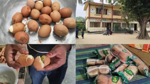 বিতরণের আগেই পচা ডিম শনাক্ত, প্রতিমন্ত্রীর নির্দেশে দ্রুত ব্যবস্থা