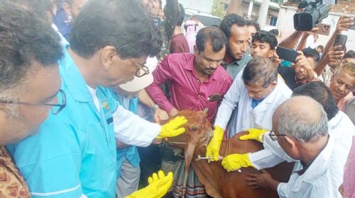 বন্যায় ক্ষতিগ্রস্ত পাঁচ জেলার কৃষকদের ধান বীজ ও পশুকে টিকা দেওয়া হবে : কৃষিমন্ত্রী