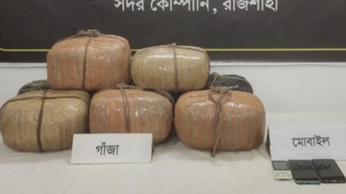 রাজশাহীতে ৩১ কেজি গাঁজাসহ মাদক কারবারি গ্রেপ্তার